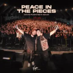Обложка трека Peace In The Pieces