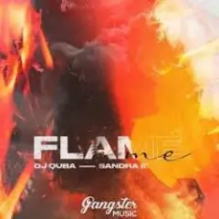 Обложка трека Flame Me