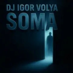 Обложка трека SOMA