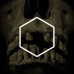 Обложка трека Insignificance