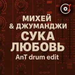 Обложка трека Сука Любовь (AnT drum edit)
