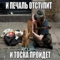 Обложка трека Человек И Кошка