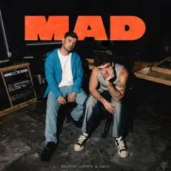 Martin Garrix & Lauv — MAD (Dj Vianu Remix)