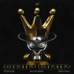 Обложка трека Drip Drip
