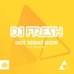 Обложка трека Hot Right Now (Extended Mix)