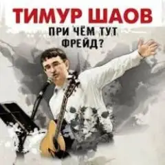 Тимур Шаов — Дорожная