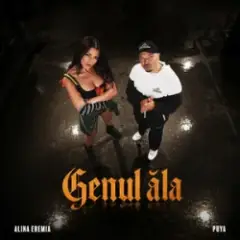Обложка трека Genul ăla