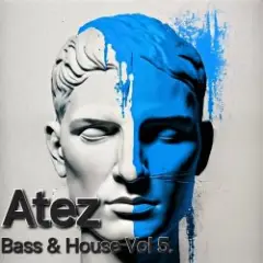 Обложка трека Bass House Vol5.