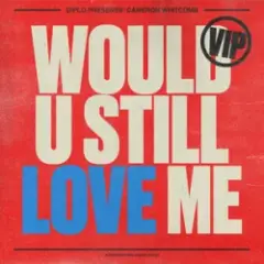Diplo & Cameron Whitcomb — Would U Still Love Me