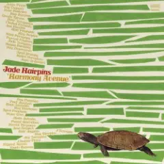 Обложка трека J Terrapin