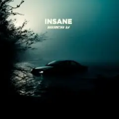 Обложка трека Insane