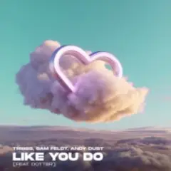 Tribbs & Sam Feldt & Andy Dust & Dotter — Like You Do (Extended Mix)
