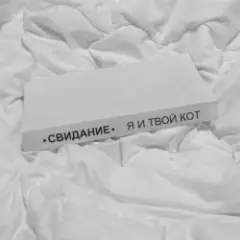 Обложка трека Я и твой кот