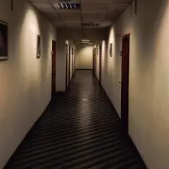 Обложка трека Провод