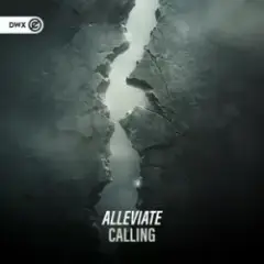 Обложка трека Calling