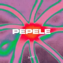 Обложка трека Pepele