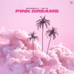 Обложка трека Pink Dreams