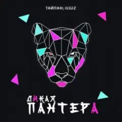 Тайпан feat. IL'GIZ — Дикая Пантера