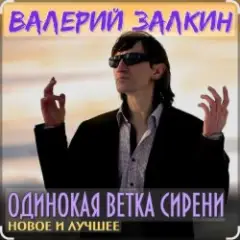Обложка трека Одинокая ветка сирени