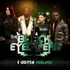 Обложка трека I gotta feeling (Laidback Luke remix)