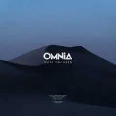 Обложка трека The Light
