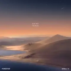 Обложка трека Saint (Shallou Remix)
