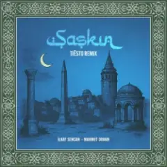 Обложка трека Şaşkın (Tiësto Remix)