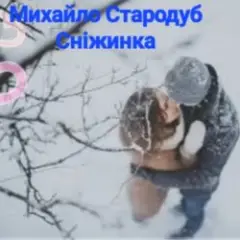 Обложка трека Сніжинка