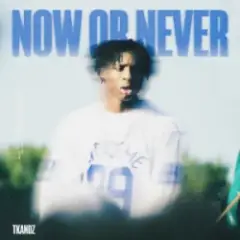 Обложка трека Now or Never