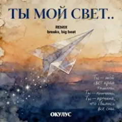 Обложка трека ТЫ МОЙ СВЕТ(REMIX BREAKS, BIG BEAT)