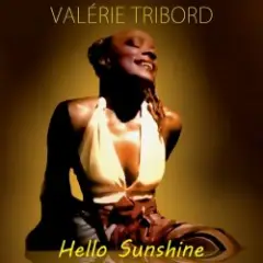 Обложка трека Hello Sunshine (Instrumental)