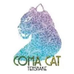 Обложка трека Coma Cat