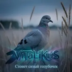 Обложка трека Стонет сизый голубочек