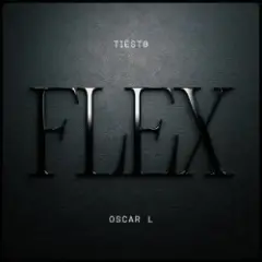Обложка трека Flex