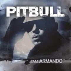 Pitbull vs Afro — Maldito Alcohol