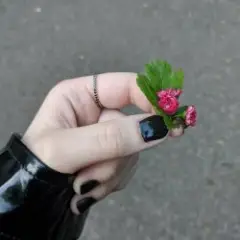 Обложка трека В огоньки