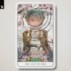 Autograf — Wheel Of Fortune