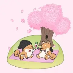 Обложка трека Cherry Blossoms