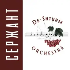 De-Shturm оrchestra — Ми ДШВ