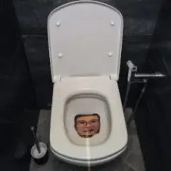 Обложка трека SkrInNiK piss