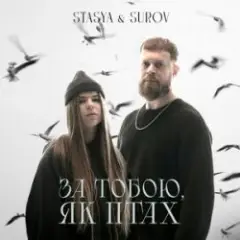 Обложка трека За тобою, як птах (KARMV REMIX)