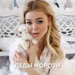 Обложка трека Деды морозы
