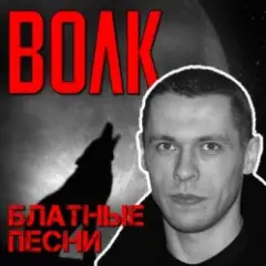 Обложка трека Стая