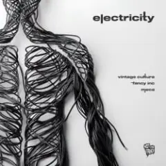 Обложка трека Electricity