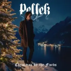 Обложка трека Twelve days of christmas