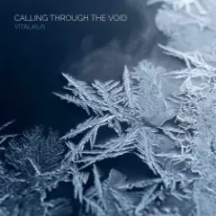 Обложка трека Calling Through the Void