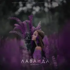 Шалих — Лаванда