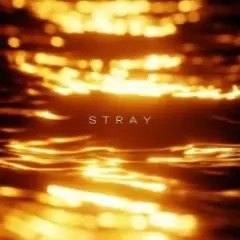 R3DN1K — Stray