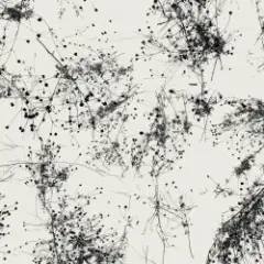 Обложка трека Everything's Gone Grey