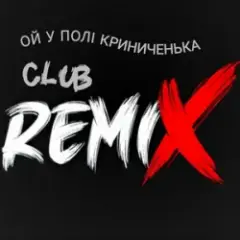 Обложка трека Ой у полі Криниченька (Club Remix)